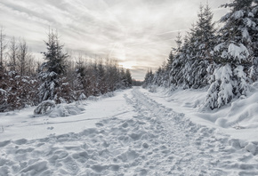 ����, ����, �������, ���, �����