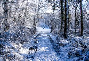 ���, �����, �������, ����