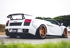 Lamborghini, white, roadster, tuning, Gallardo, bronze, wheels, supercar, I ...