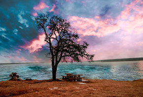 Дерево, река, небо, алый закат, прозрачная голубая вода, место для отдыха, красиво, спокойствие перед бурей