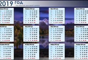 ���������, 2019