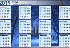 ���������, 2019