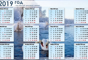 ���������, 2019