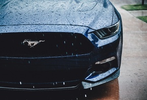 ford, mustang, ,  , 