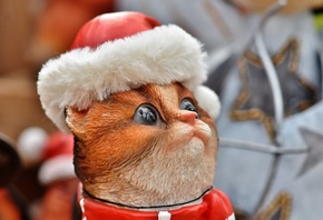 ���, ����� �����, ������, ����