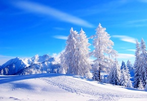 природа, пейзаж, зима, дорога, лес, небо, снег, деревья, ели, пейзаж, горы