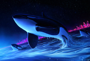 Dolphin, Night, Orca, Whale, Digital Art