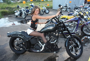 , Harley Davidson, custom, 