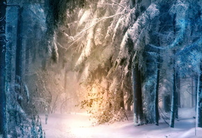 �������, ����, ����, ���, �������, �����