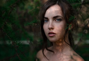 �������, ������, �������