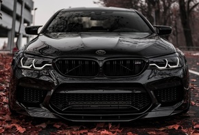 ���, F90, ������, �����, �����
