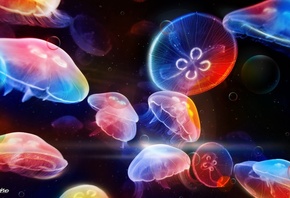 медузы, арт