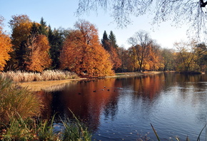 река, деревья, краски, осень
