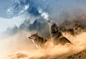 3D, digital art, животные, хищники, волки, горы, зима, планета, звёзды