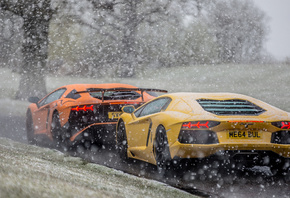 Lambos, In The, Snow