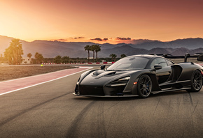 Mclaren, Senna