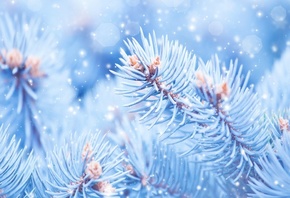 �������, �����, ����, ���, ����, ����, ����