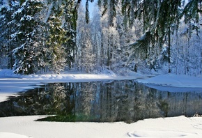 �������, �������, ������, ���, �������, ����, ����, ����