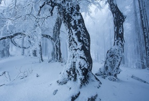 �������, ���, �������, ����, ����, �����