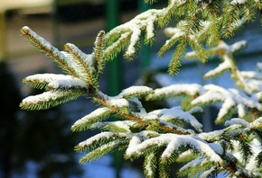 ���, �����, ����