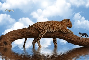 �������, �����, �����, �����, ������, ����, ���������������