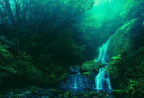 Ян Миншан Тайбэй, Тайвань, водопад, лес, туман, скалы, деревья, природа