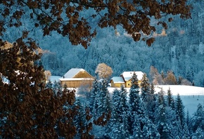 �������, ������, ����, ����, �������, ����, ����