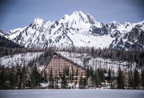 ��������, ����, ����, �����