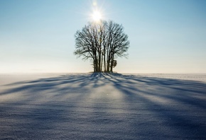 ����, �������, ������, ����, ����