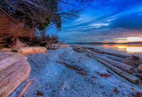 ������, �����, ����, ���������, Numata, ������, �������