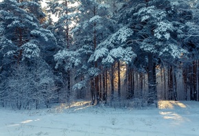 ���, ����, ����, �������, ������ ������