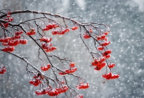 ����, ����, ������