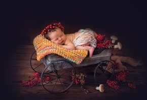 ребёнок, девочка, малышка, младенец, сон, тележка, ветки, ягоды, рябина, венок, грибы