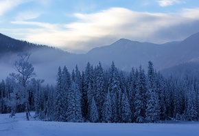 Канас, зима, деревья, снег, туман, горы, Китай