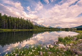 Kananaskis, Alberta, Канада, озеро, лес, небо, облака, деревья, природа, пейзаж