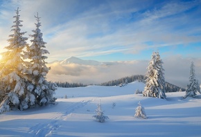 природа, пейзаж, зима, снег, горы, деревья, ели, лес, облака, следы, дома,  ...