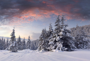 �������, ������, ����, ����, �������, ���, ���, �����, ����, ������