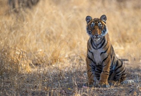 , , , , , , , ,  ,  ...