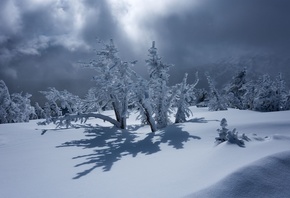 пейзаж, природа, горы, деревья, зима, снег, тени, тучи