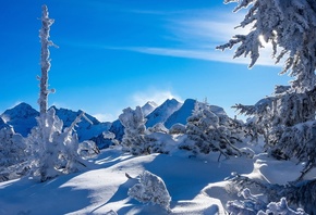 природа, пейзаж, зима, снег, деревья, ели, горы, Австрия, Альпы, сугробы, Штирия, тени