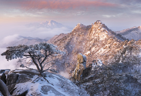 , , , , , , , , , ,  ...