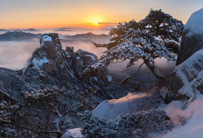 , , , , , , , , , , , , , , , jae youn Ryu