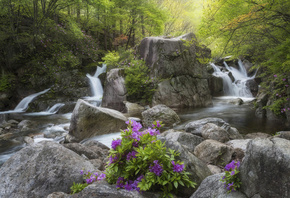 , , , , , , , , , , , jae youn Ryu