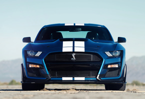 Ford, Mustang, Shelby, GT500