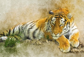 ����, ������, ��������, ����, ������, art