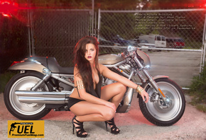 , Harley Davidson, 