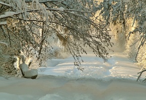 �������, ����, ����, �������, �����, �����, ������