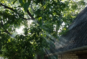 ���, ������, �����, �������