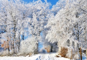 природа, пейзаж, зима, снег, деревья, кусты, иней, дорога, забор