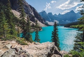 Banff, лес, ель, озеро, канада